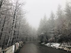 -沣峪口