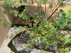 -蜜桃餐厅·伴山(湖滨商业街店)