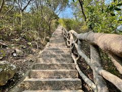 -梧桐山风景名胜区