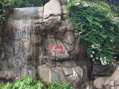 -九龙公园