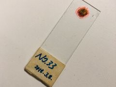 -chi K11艺术空间展览厅