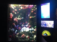 -瑞普利水族馆