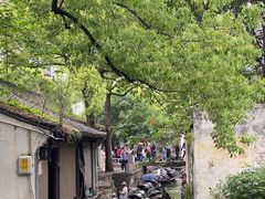 -绍兴鲁迅故里·沈园景区