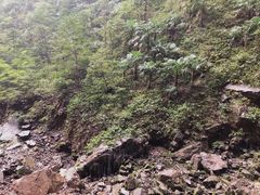 -龙水峡地缝景区
