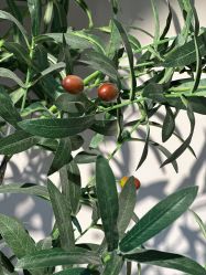 -YesYoga瑜伽普拉提塑形体雕馆