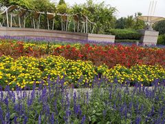 -石家庄市植物园