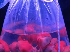 -华声天桥民俗文化园