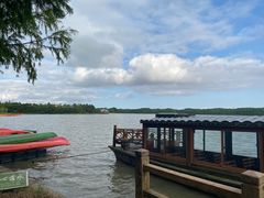 -上海海湾国家森林公园