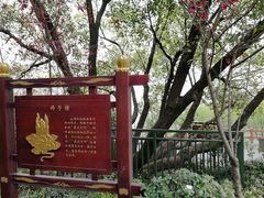 -杭州半山国家森林公园