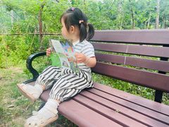 -合肥滨湖国家森林公园