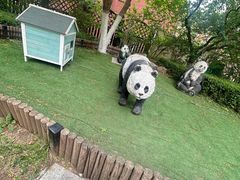 -金地·铂悦