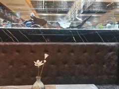 -红辣椒·川菜·火锅(张杨路店)