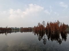 -白鹭湾湿地公园