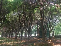 -汇龙潭