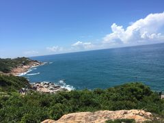 -广东惠东海龟国家级自然保护区