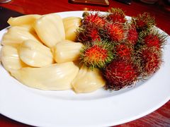 -绿光森林餐厅