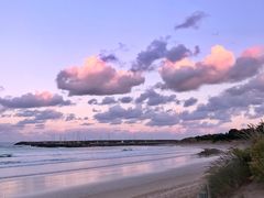 -Dooley's Premium Ice Cream