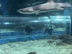 -福州罗源湾海洋世界旅游区