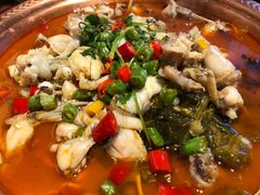 -沪小二炭火蛙锅(淮海中路美食不夜城店)