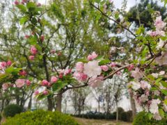 -海棠花溪(元大都城垣遗址公园)