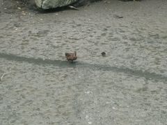 -水绘园
