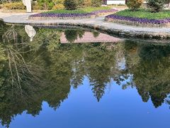 -庐山风景区花径公园