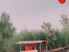 -白洋淀景区