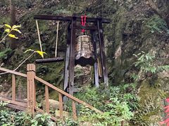 -十八棵（老龙井）御茶园(老龙井店)