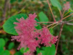 -周口店坡峰岭风景区