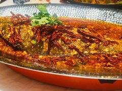 -大张烙馍村·美食地标(泉山店)
