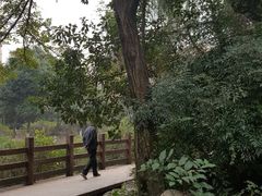 -沙河三洞古桥公园