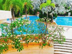 -三亚湾皇冠假日度假酒店·临风大堂酒廊