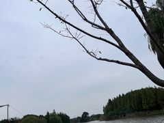 -贡湖湾湿地公园