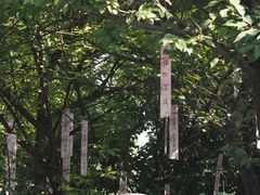 -西安大兴善寺