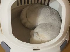 -宠颐生中康贝怡动物医院