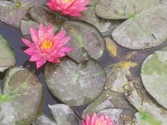 -东华大学(松江校区)