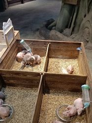 -酷嗒动物文化乐园(cutezoo西溪乐天城店)