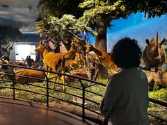 -国家自然博物馆