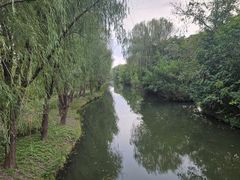 -溱湖国家湿地公园