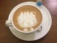 -猫色咖啡·猫咖
