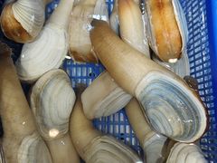 -海味当家·蒸锅海鲜(星海公园店)