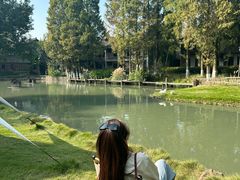 -乌村