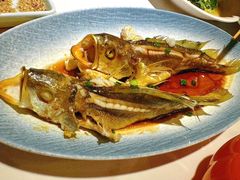 -33号大院·青岛本帮菜(五四广场店)