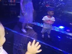 -成都浩海立方海洋公园