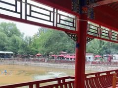 -尚庄度假村·庭台树下·户外烧烤·团建CS·轰趴营地(上庄水库店)