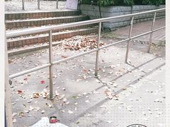 -卜蜂莲花(杨高南路店)