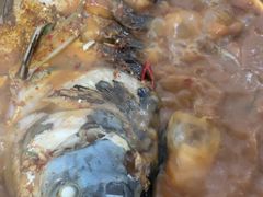 -庆岭迎宾园正宗活鱼馆