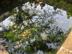 -王氏凉糕(总店)