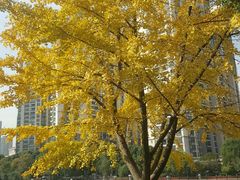 -苏州河梦清园环保主题公园