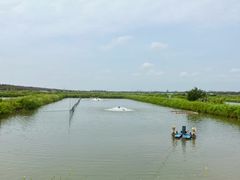 -上海海湾国家森林公园